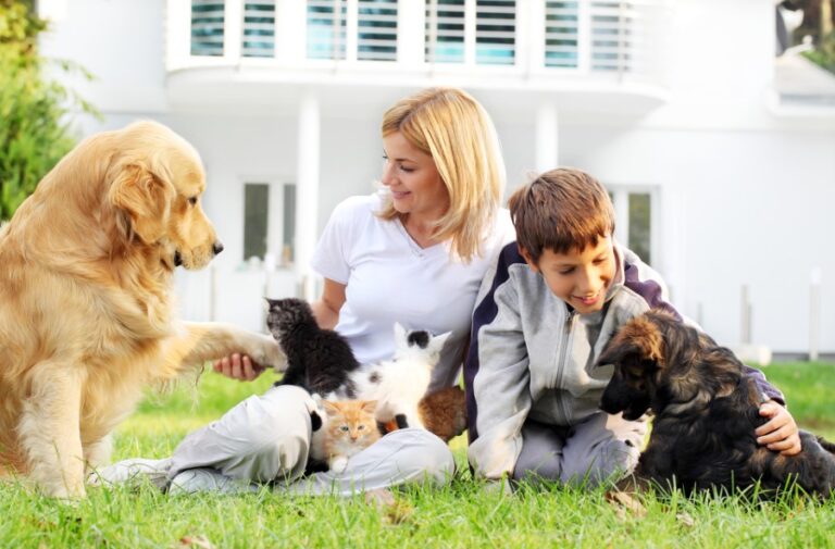 The Harmony of Family Pet Care Guide in 2023