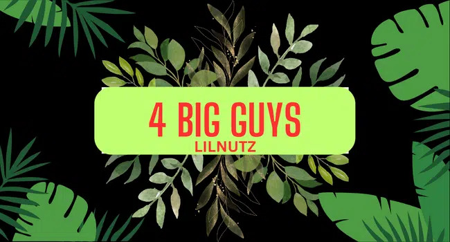 4 Big Guys Lyrics