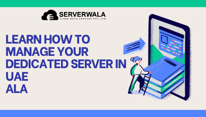 Learn How To Manage Your Dedicated Server In UAE