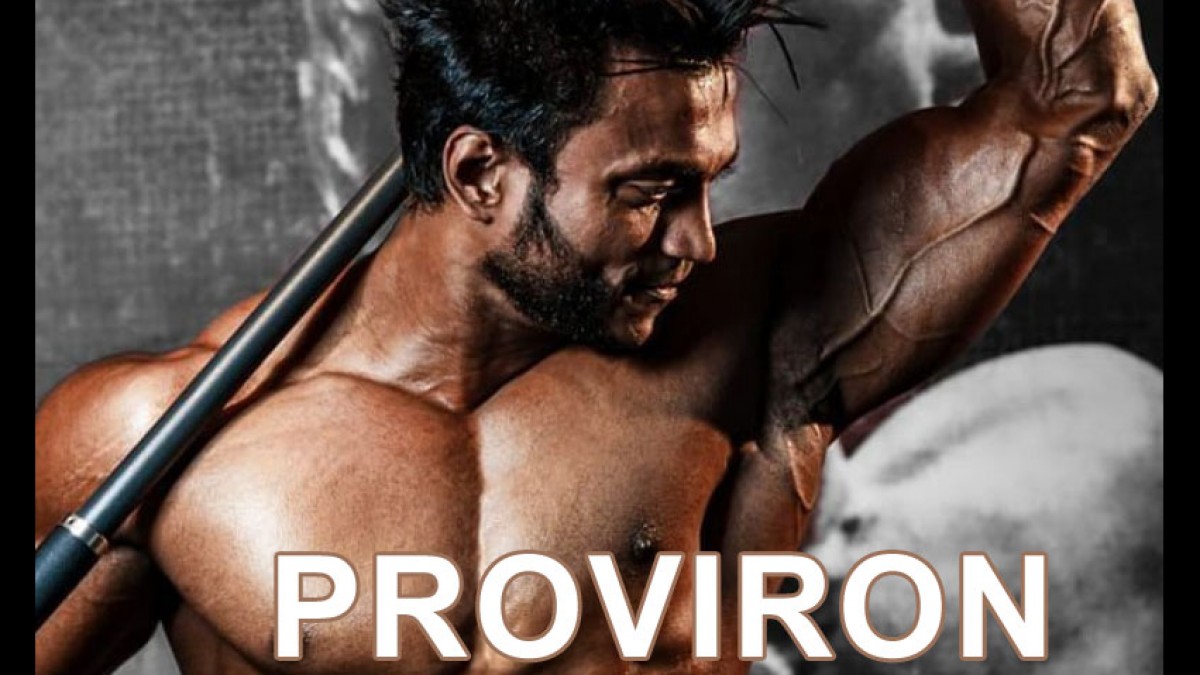 Proviron in bodybuilding