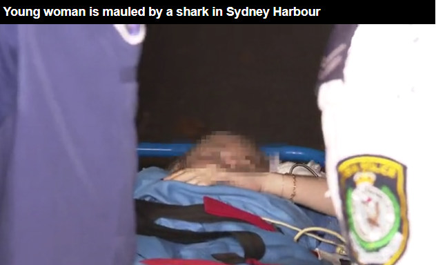 Lauren O’Neill Attacked By a Shark – Sydney Shark Attack Survivor Breaks Silence