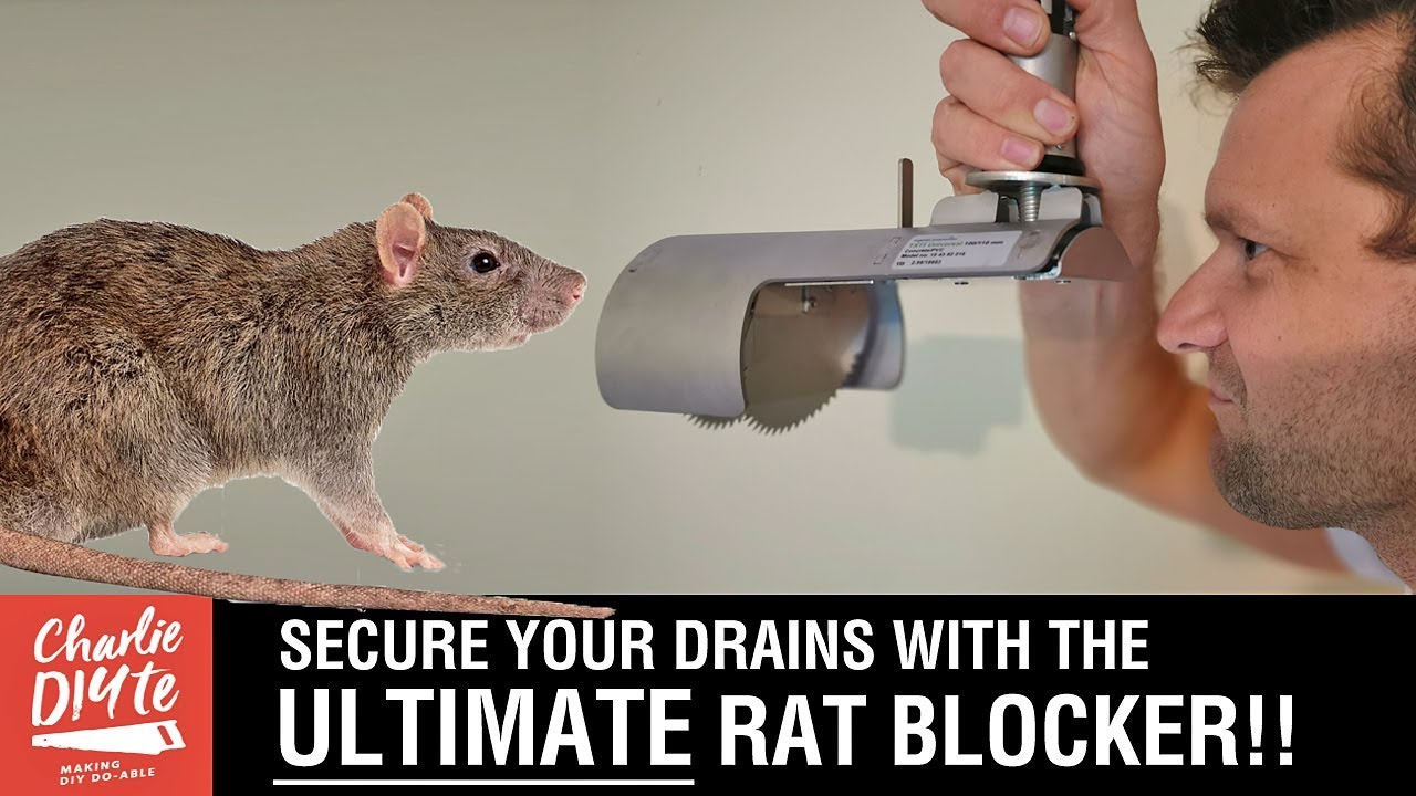 Avoiding Common Mistakes: A Guide to Rat Blocker Installation